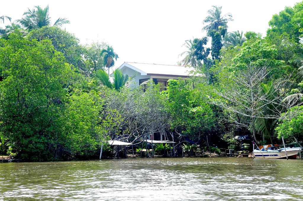 Little Swan Guest House Bentota Exteriér fotografie
