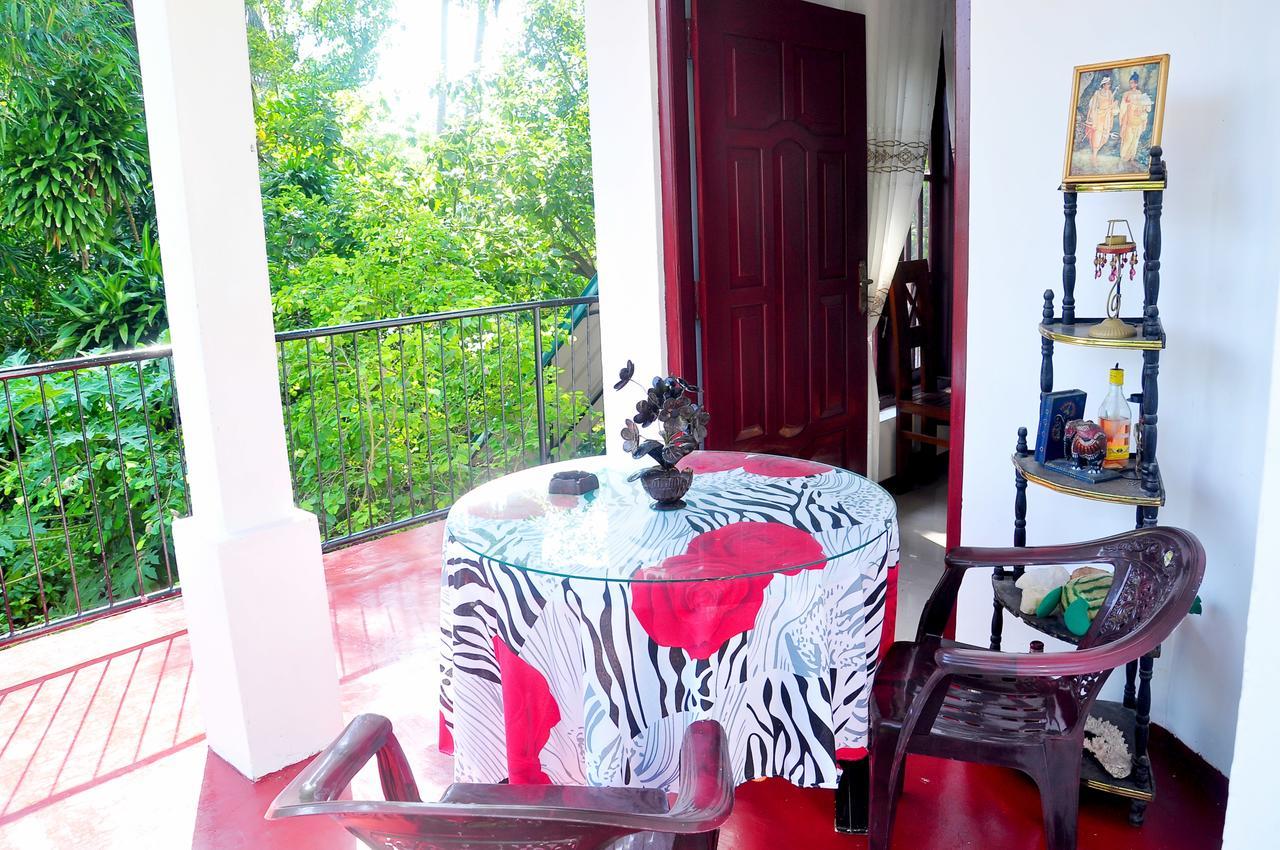 Little Swan Guest House Bentota Exteriér fotografie