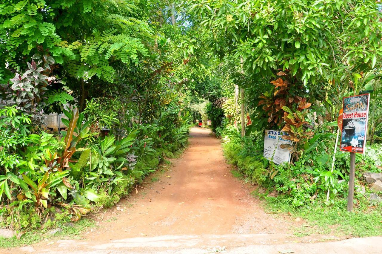 Little Swan Guest House Bentota Exteriér fotografie